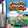 Harvest Moon: Friends of Mineral Town
